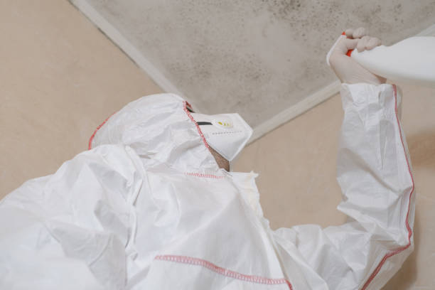 Best Professional Mold Removal  in Oak Park, CA